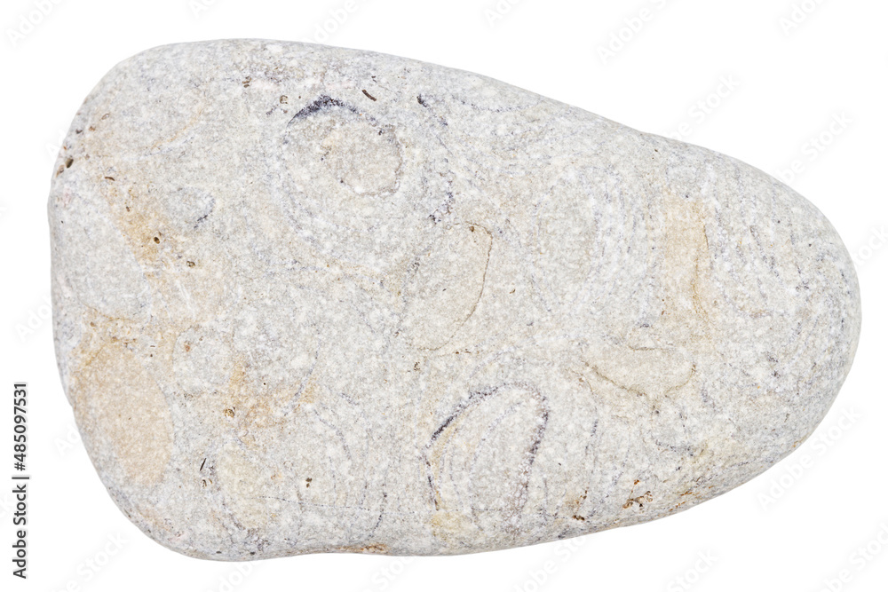 Obraz premium Top view of single gray pebble