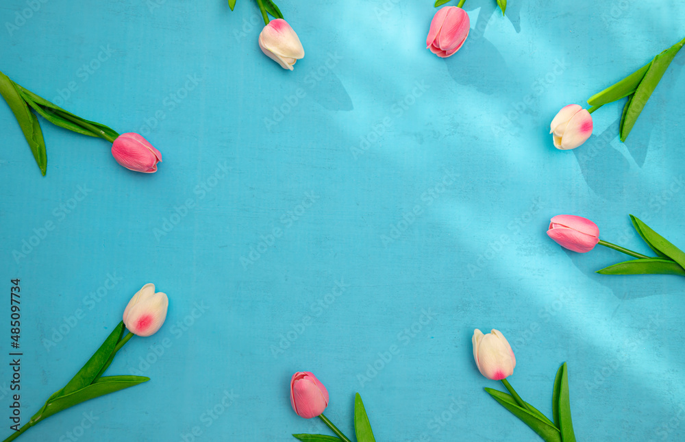 tulips tulips