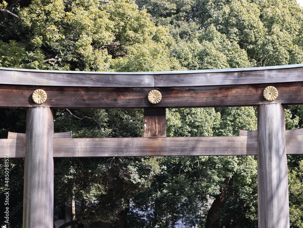 鳥居の写真 鳥居の写真