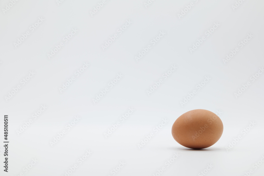 A brown egg placed horizontally on a plain white background. A brown egg placed horizontally on a plain white background.
