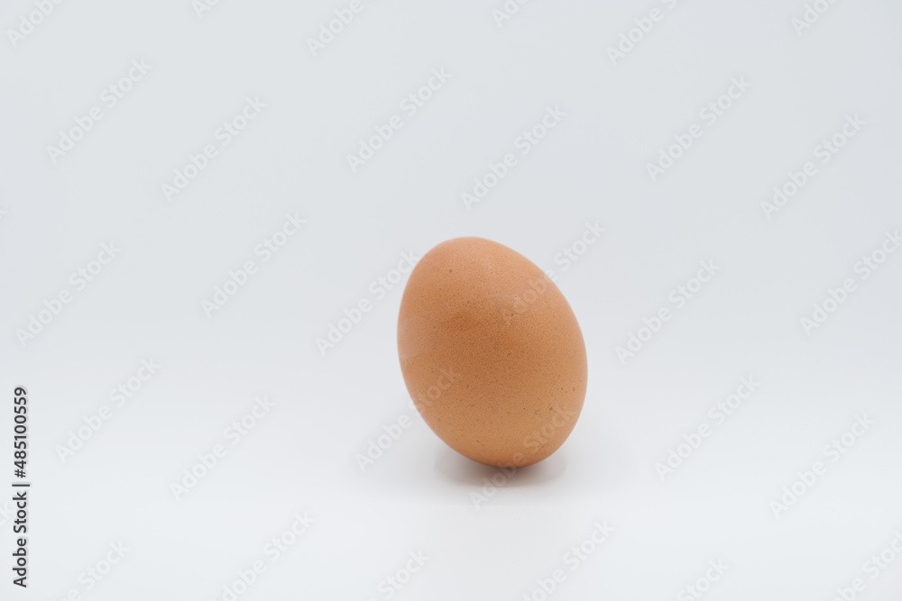 A brown egg placed tilted against a plain white background. A brown egg placed tilted against a plain white background.