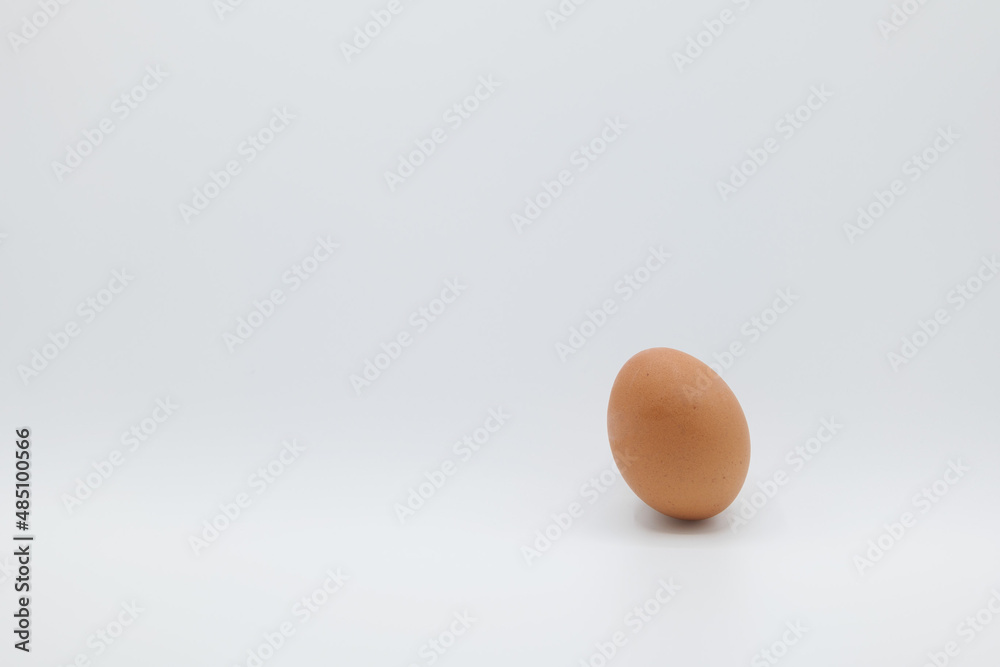 A brown egg placed tilted against a plain white background.
