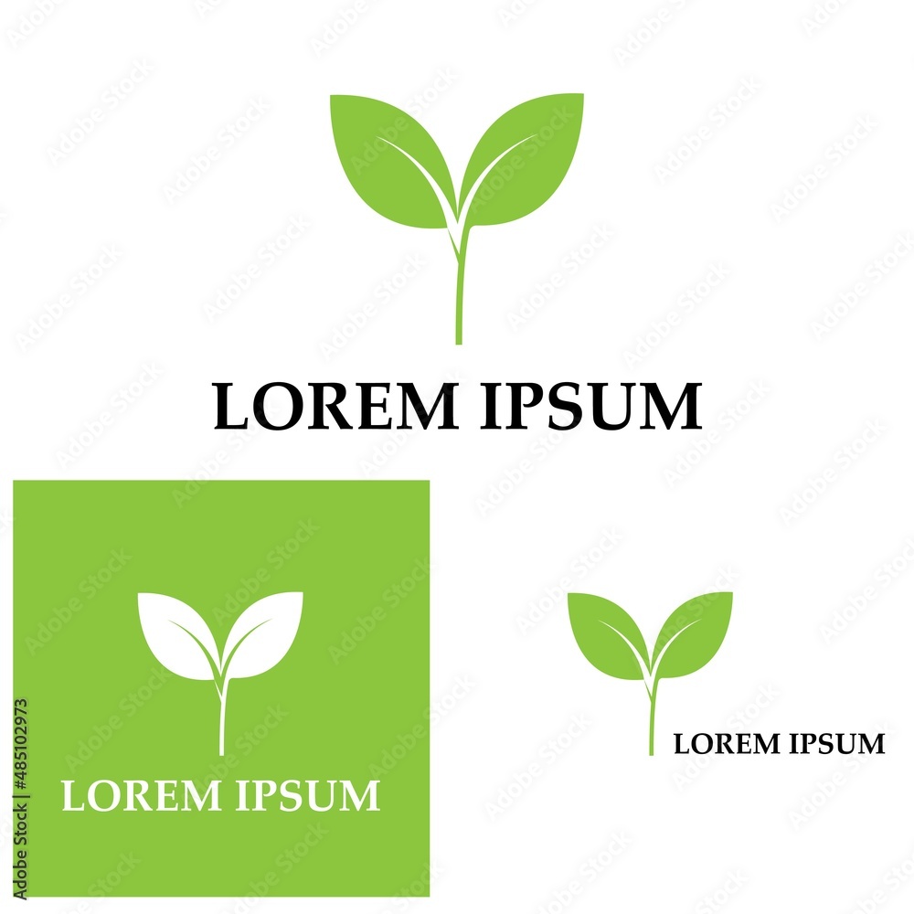 Logos of green Tree leaf ecology nature element vector