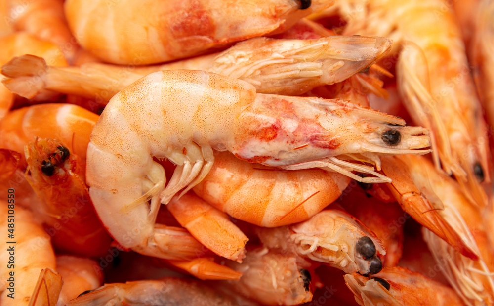 Red shrimps as a background. Close-up