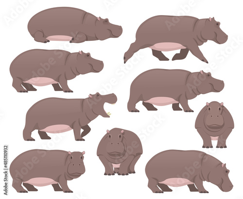 Obraz na płótnie Set of a Hippo