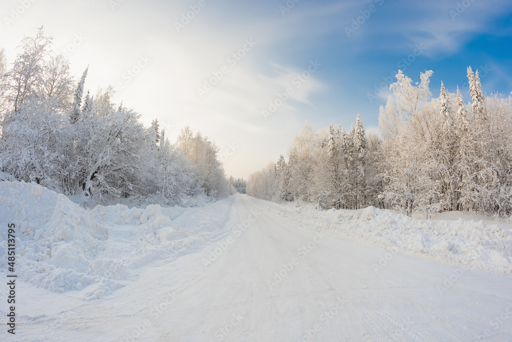Beautiful landscape of winter forest. Panorama of the forest area with the road Beautiful landscape of winter forest. Panorama of the forest area with the road