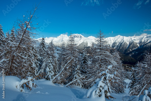 Ski mountaineering in the Mount Zoncolan ski area, Carnic Alps, Friuli-Venezia Giulia, Italy