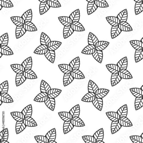 Mint leaves. Peppermint leaves hand drawn seamless pattern. Leaves mint texture endless background, leaf herbal spearmint plant. Vector icons.
