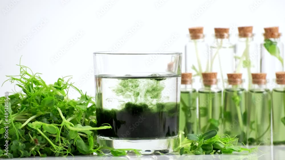 Microgreens. Test tubes with micro greens and reagent. Growing fresh plants culture in laboratory. Selection of sprouts for research. Super food production. Chlorophyll extract is poured in pure water Microgreens. Test tubes with micro greens and reagent. Growing fresh plants culture in laboratory. Selection of sprouts for research. Super food production. Chlorophyll extract is poured in pure water