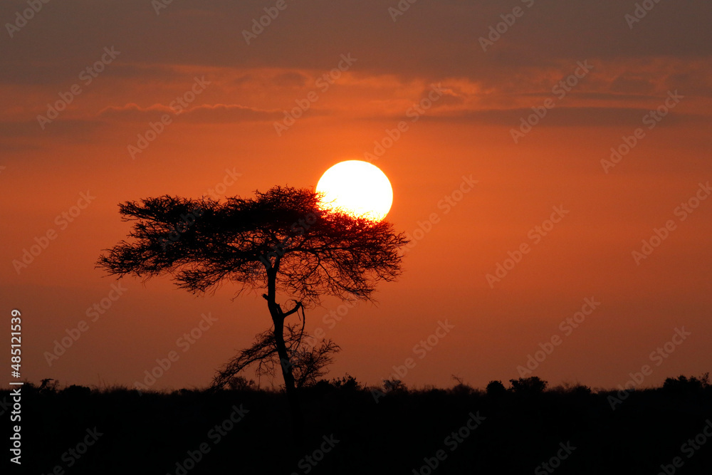 Early Morning Sun Rising over Tsavo East, Kenya Early Morning Sun Rising over Tsavo East, Kenya