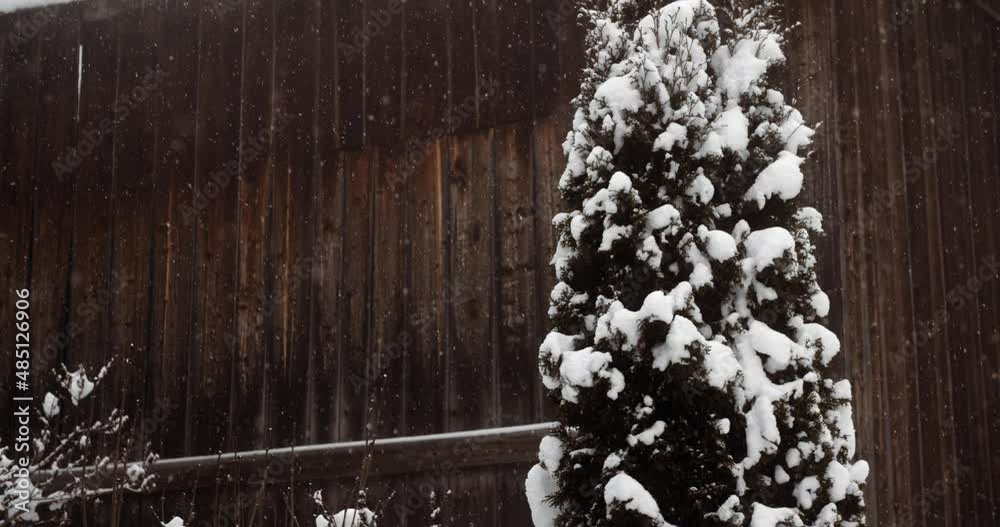 Flocons de neige au ralenti