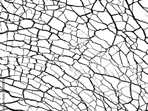 The cracks texture white and black. Vector background. Cracked earth. Structure of cracking. 