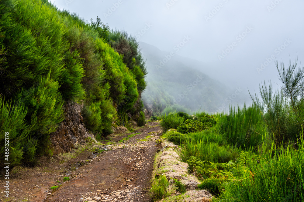 Madeira - Rabacal Madeira - Rabacal
