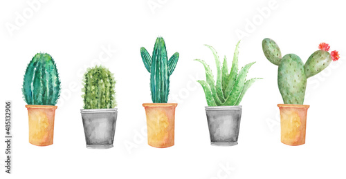 Watercolor floral cactuses set