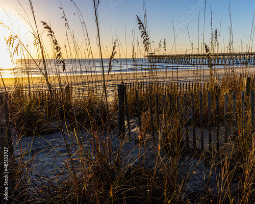 Dune Fence With Sea Oats on Second Avenue Beach  Myrtle Beach  South Carolina  USA