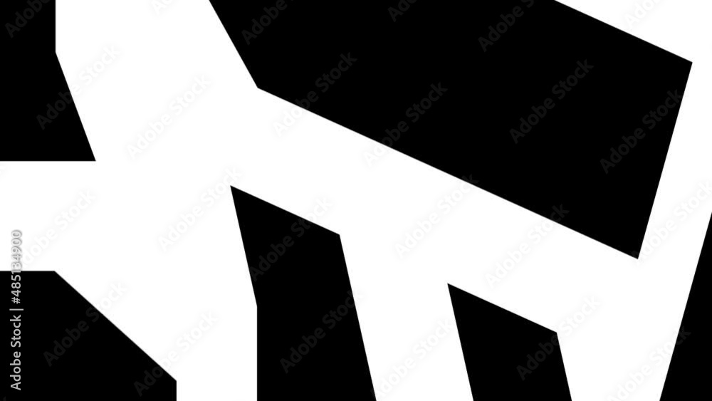 Abstract background with black and white stripes.Seamless loop video. Abstract background with black and white stripes.Seamless loop video.