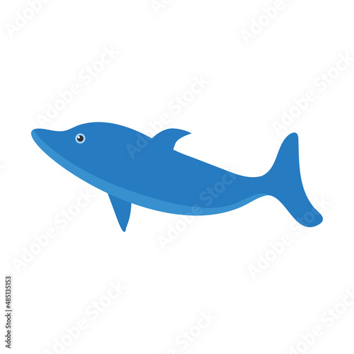 Dolphin on a white background for use in website design