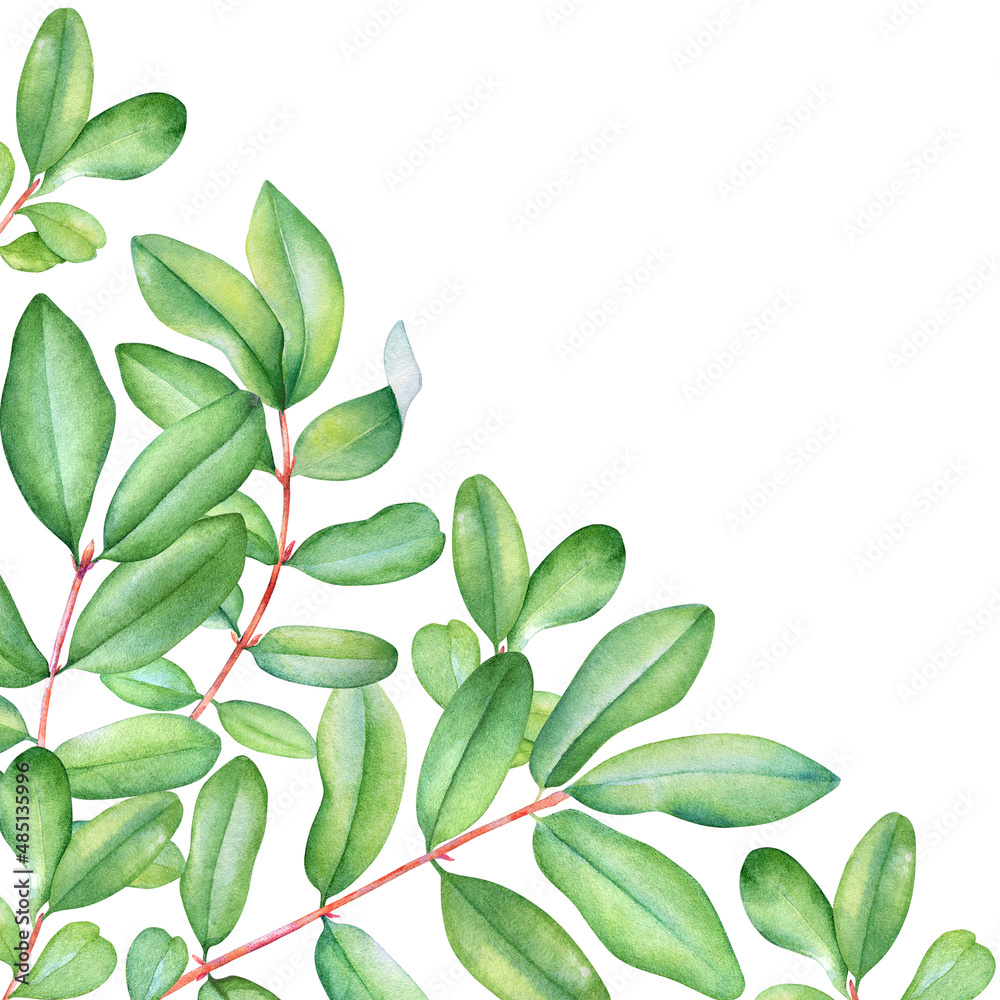 Watercolor lively branches with green leaves Watercolor lively branches with green leaves