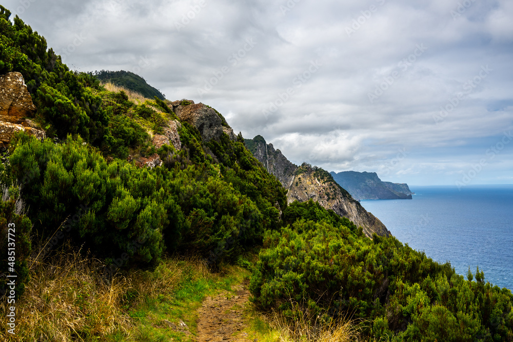 Fototapeta premium Madeira - Machico