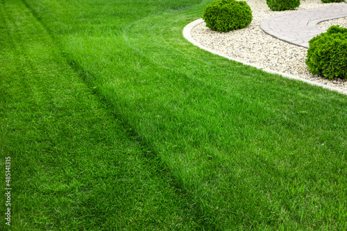 Backyard with natural green grass, fresh lawn 