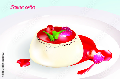 panna cotta, vector illustration with favorite dessert