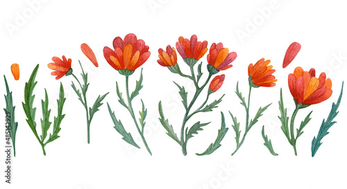 Watercolor hand drawn isolated elements on white background: red flowers, green leaves and red petals © SpaceLiira