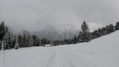 Alpen-Schnee-Wald