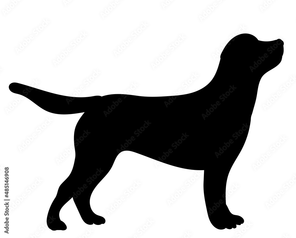 dog silhouette ,on white background