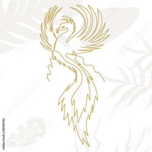 phoenix bird in one line, outline on an abstract background, vector, isolated