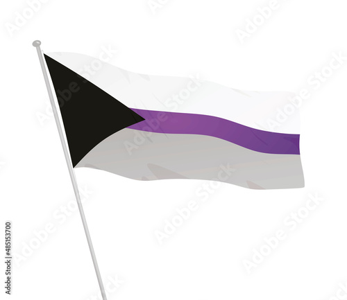 Demi sexual flag. vector illustration