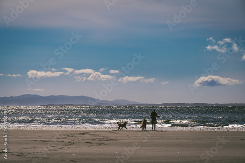 Female playing fetch with their dogs on the beach