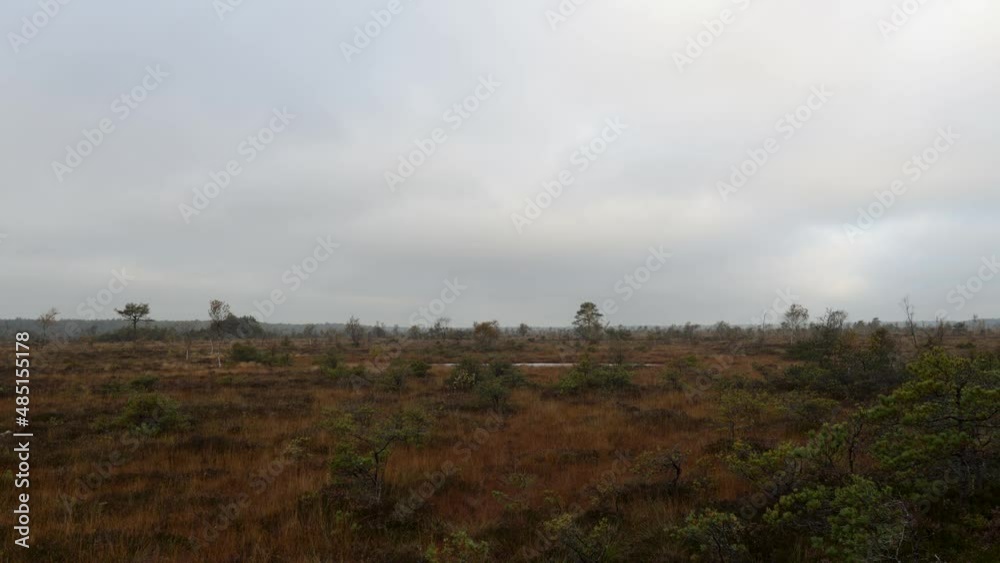 Timelapse of swamp on overcast cold autumn day. Timelapse of swamp on overcast cold autumn day.