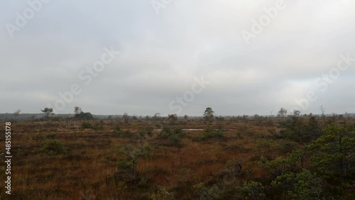 Timelapse of swamp on overcast  cold autumn day. 