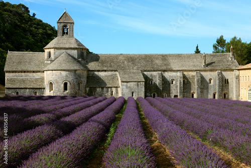 France, Provence Alps Cote d'Azur, Haute Provence, Cistercian monastery of Senanque beside lavender field