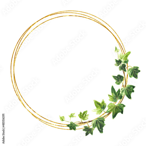 Fotografia, Obraz Ivy branch with green leaves frame