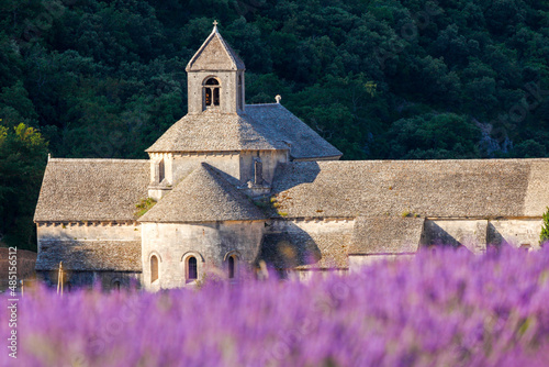 France, Provence Alps Cote d'Azur, Haute Provence, Cistercian monastery of Senanque beside lavender fielddes: Abbay Notre-Dame de Sénanque photo