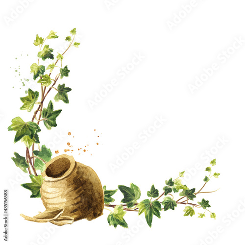 Old jug and green ivy branches. Hand drawn watercolor  illustration isolated on white background