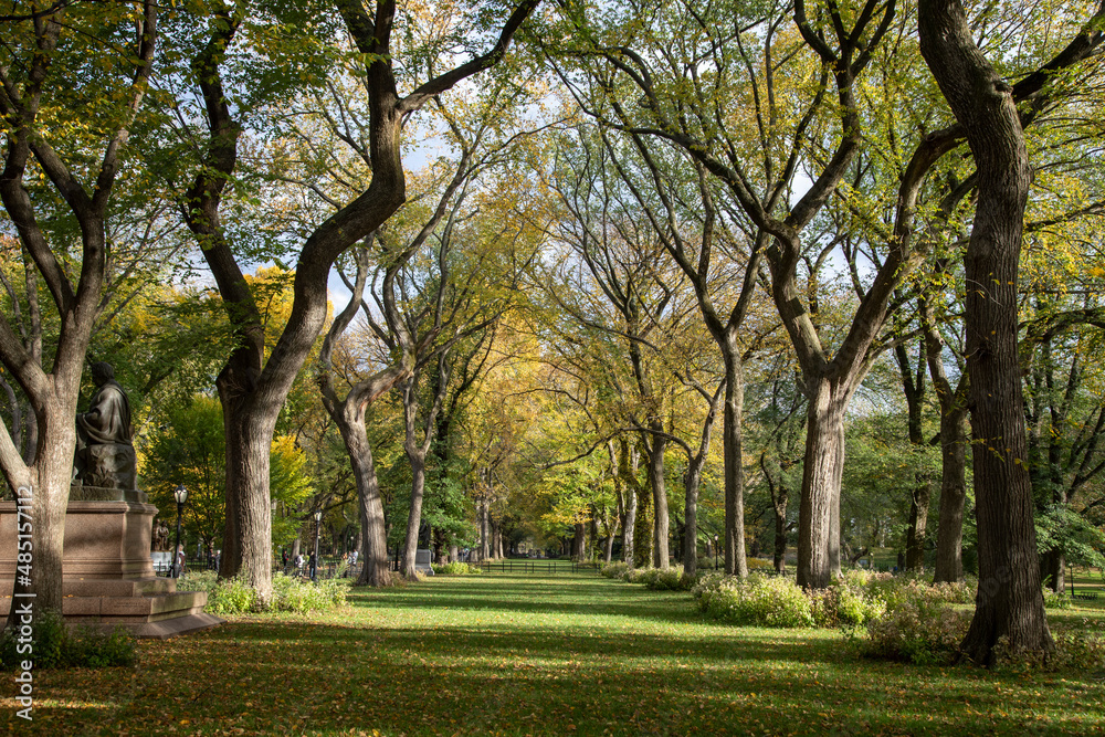 garden landscape in autumn, inside central park, New York city 