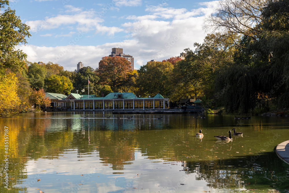 view of the lake with boats in autumn inside central park, New York city