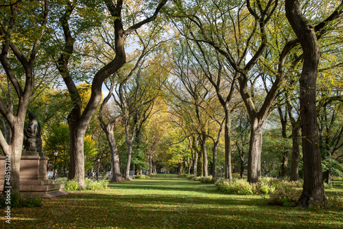 garden landscape in autumn, inside central park, New York city  © Ricardo Canino