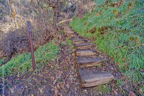 Steps coming down from East Bay of Willow Lake AZ