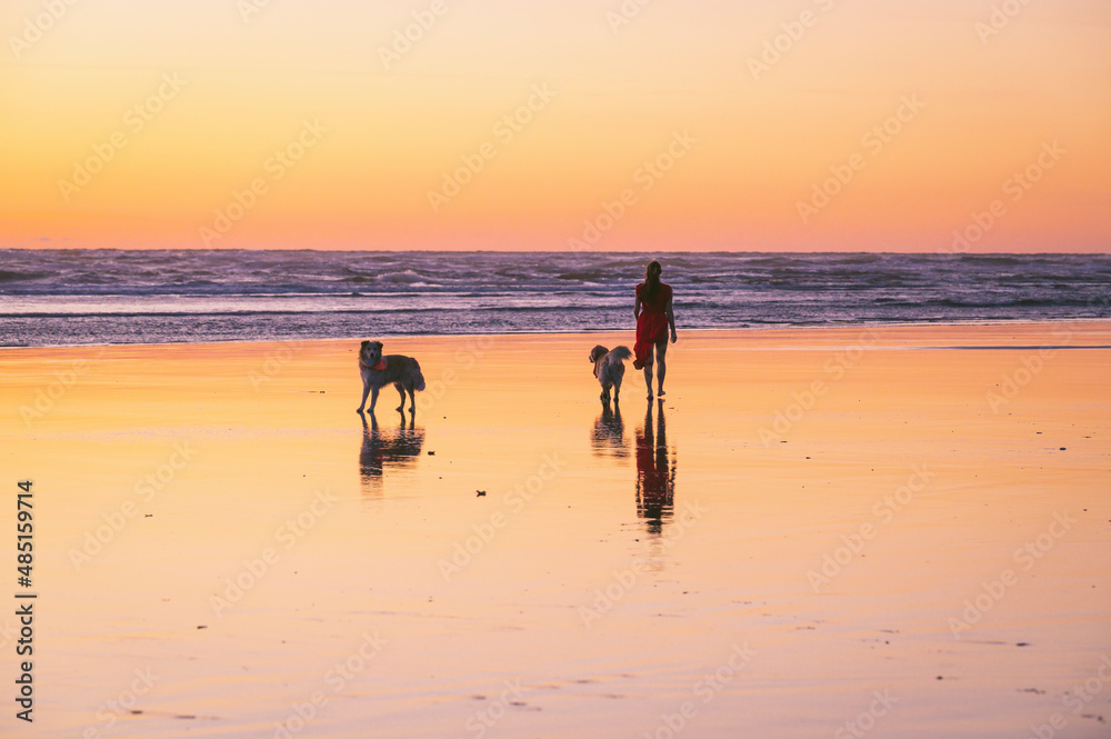 Female walking with their dogs on the Washington Coast at sunset Female walking with their dogs on the Washington Coast at sunset