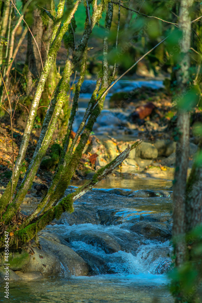 Ruisseau de Bolozon, Ain, France