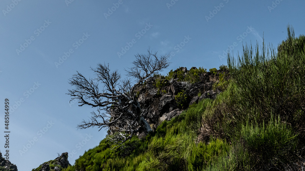 Madeira - Pico Ruivo