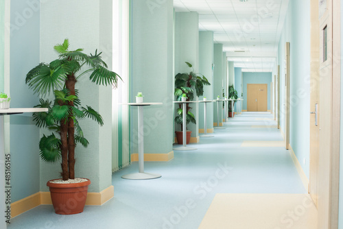 The interior of a hotel. Hall with doors and tables with floral arrangement and plants