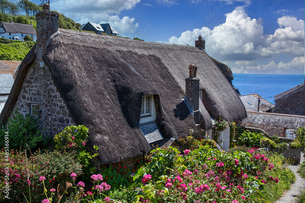 Haus mit Reetdach in Port Isaac, Corwall