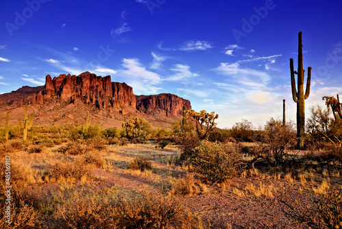 Arizona desert view with Superstitious mountains and Saguaro cactus at sunset, Phoenix, USA