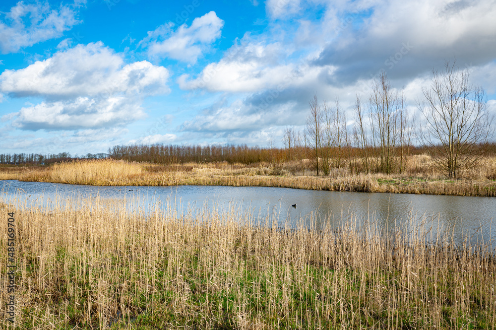 Nature and recreation area Bentwoud. Located in the green heart of Holland between the four largest cities of The Netherlands: Amsterdam, Rotterdam, The Hague and Utrecht. Nature and recreation area Bentwoud. Located in the green heart of Holland between the four largest cities of The Netherlands: Amsterdam, Rotterdam, The Hague and Utrecht.