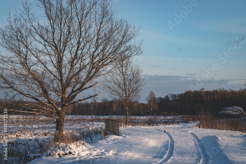 snow covered uneven agricultural field, electric poles and wires run trhough the field, minimalistic winter landscape photo