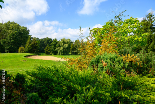 bunkier na polu golfowym za krzewami